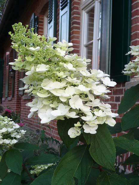 Sommergarten-1