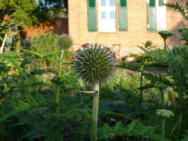 Sommergarten