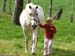Donja+Anna